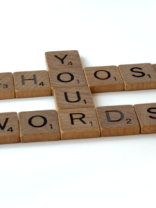 On the Use of Language, Oliver Goldsmith (translation of essay)